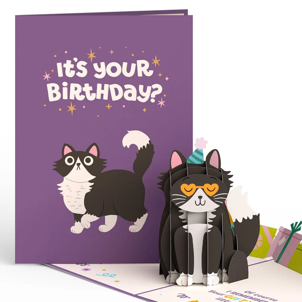 Lovepop Birthday Cats 5-Pack