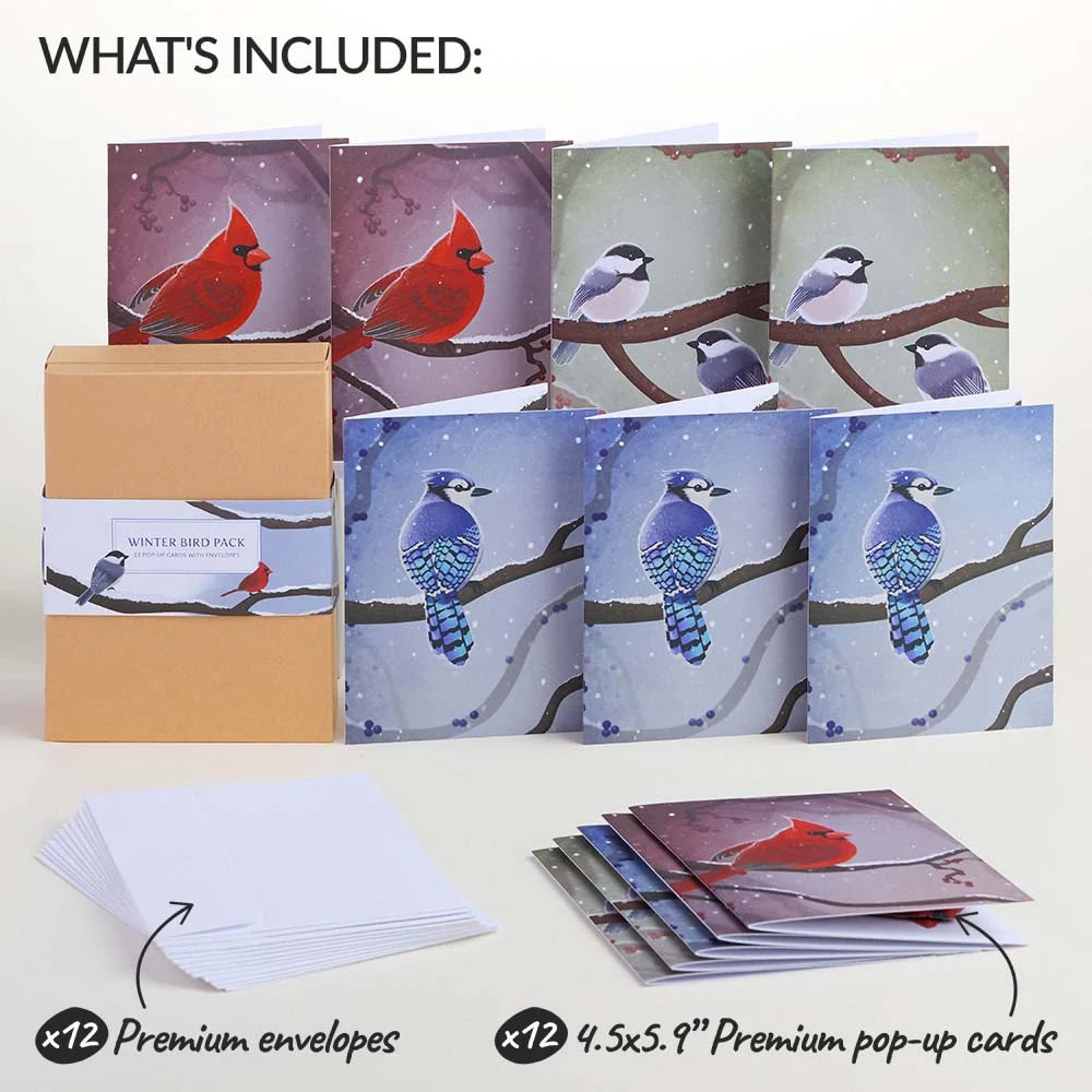 Lovepop Seasonal Birds Box Set Bundle (Assorted 36-Pack): Paperpop Card