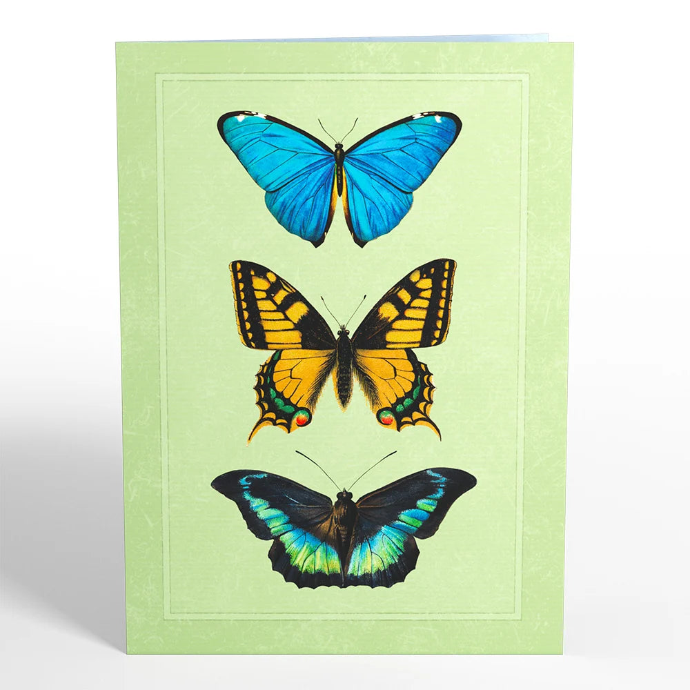 Lovepop Butterflies in Flight Pop-Up Card