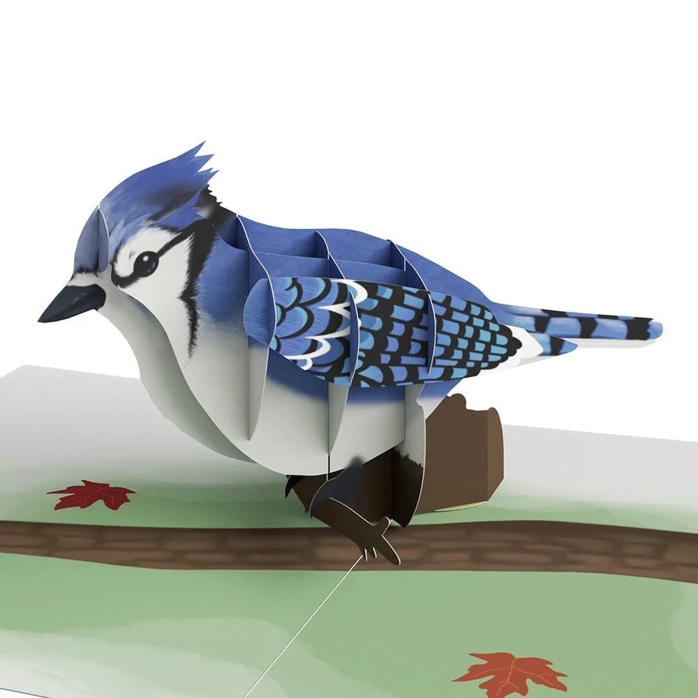 Lovepop Fall Bird Box Set (Assorted 12-pack): Paperpop Card
