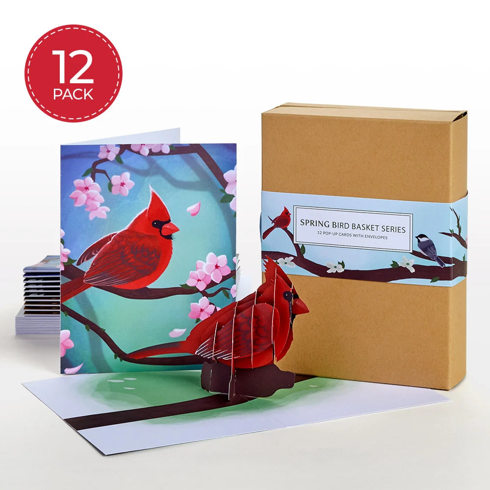 Lovepop Seasonal Birds Box Set Bundle (Assorted 36-Pack): Paperpop Card