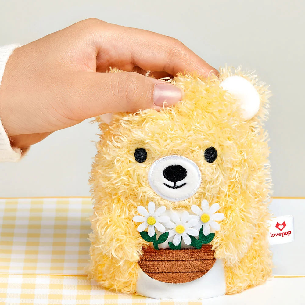 Lovepop Daisy Greetings Plushpop Card and Bouquet Bundle