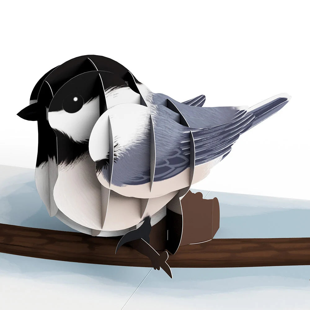 Lovepop Fall Bird Box Set (Assorted 12-pack): Paperpop Card