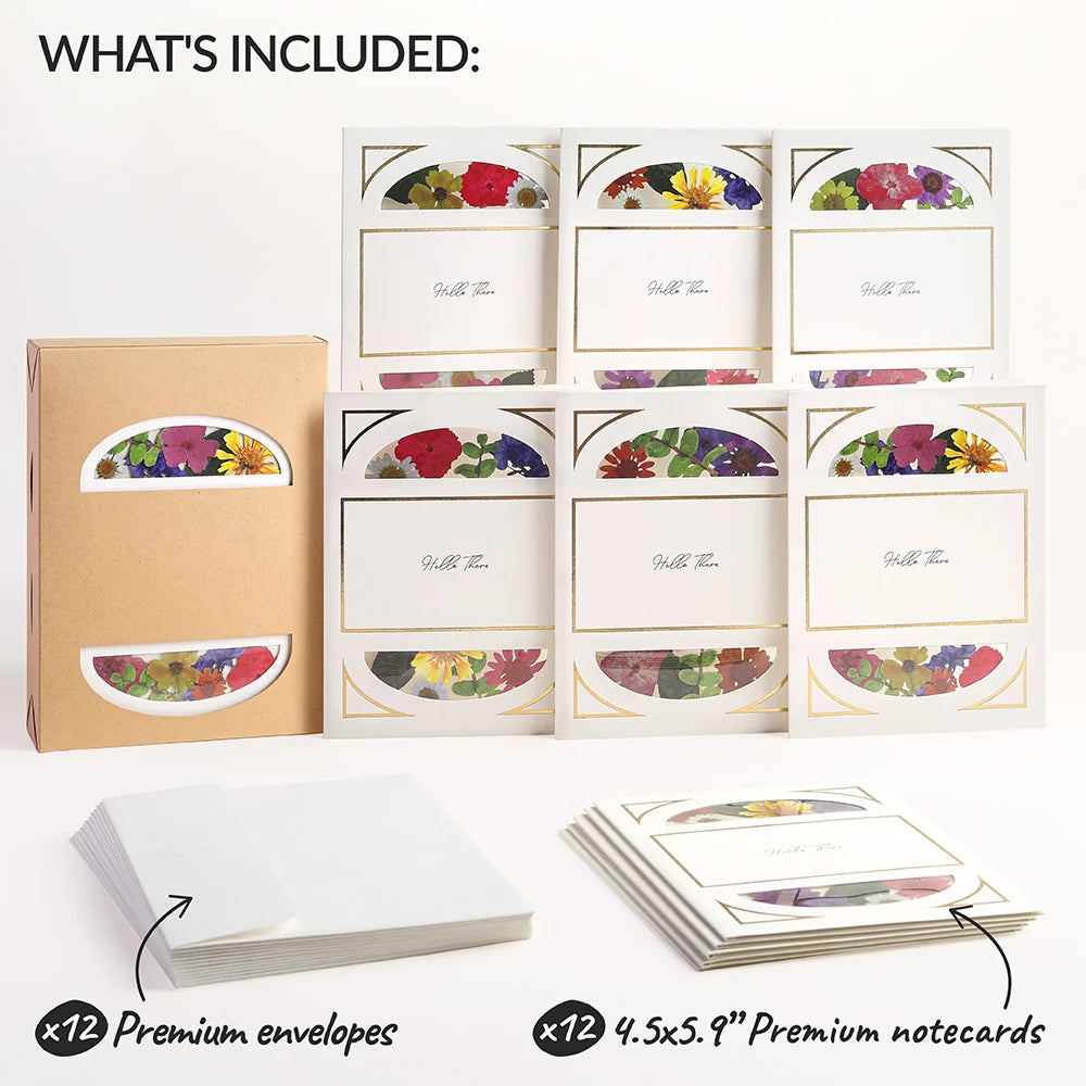 Lovepop Cheerful Brights (Assorted 12-Pack) – Petal Pressed ‘Hello There’ Notecards