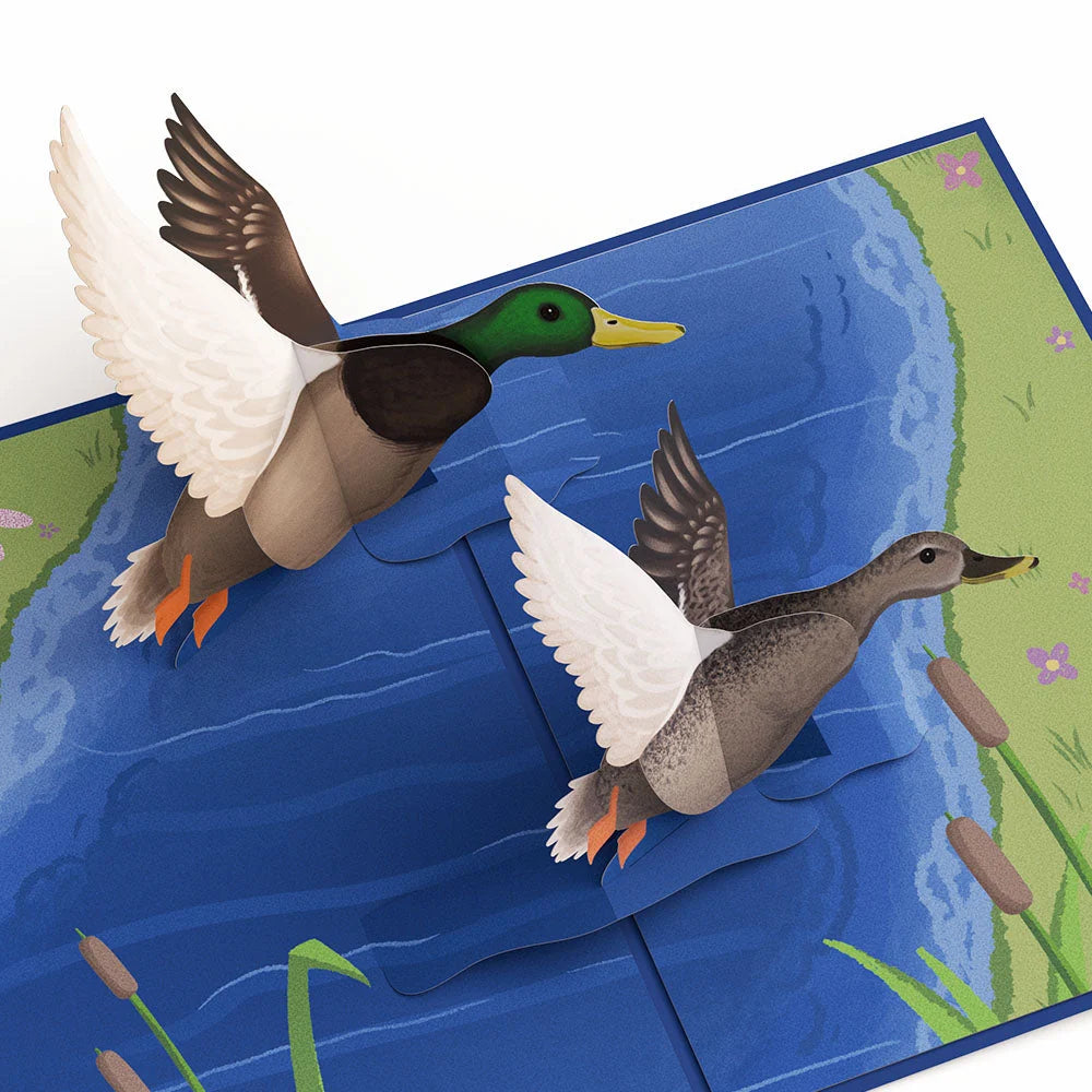 Lovepop Birds in Flight 3-Pack