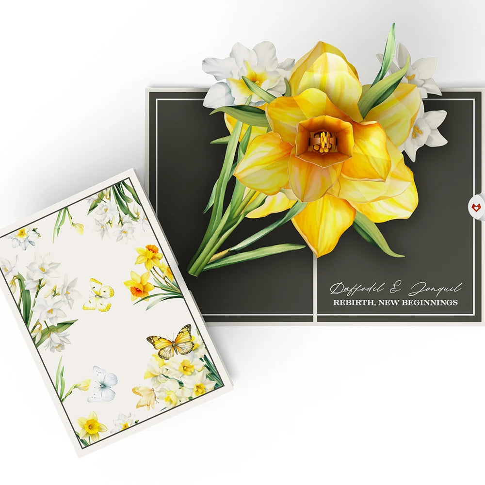 Lovepop Born to Bloom: A Year of Birth Month Flowers 12-Pack