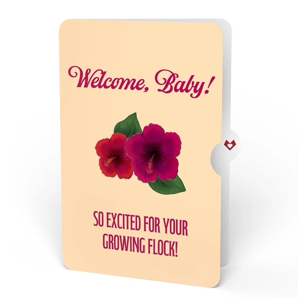 Lovepop Rainforest Toucan New Baby Pop-Up Card and Hibiscus Sentiment Set