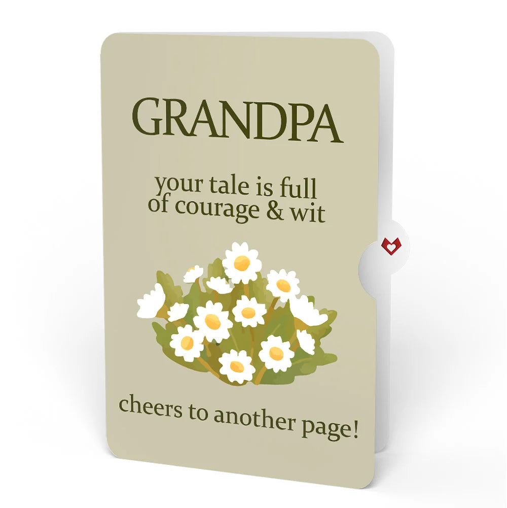 Lovepop Cheers to a New Chapter Birthday Pop-Up Card and Sentiment Set for Grandpa Cream