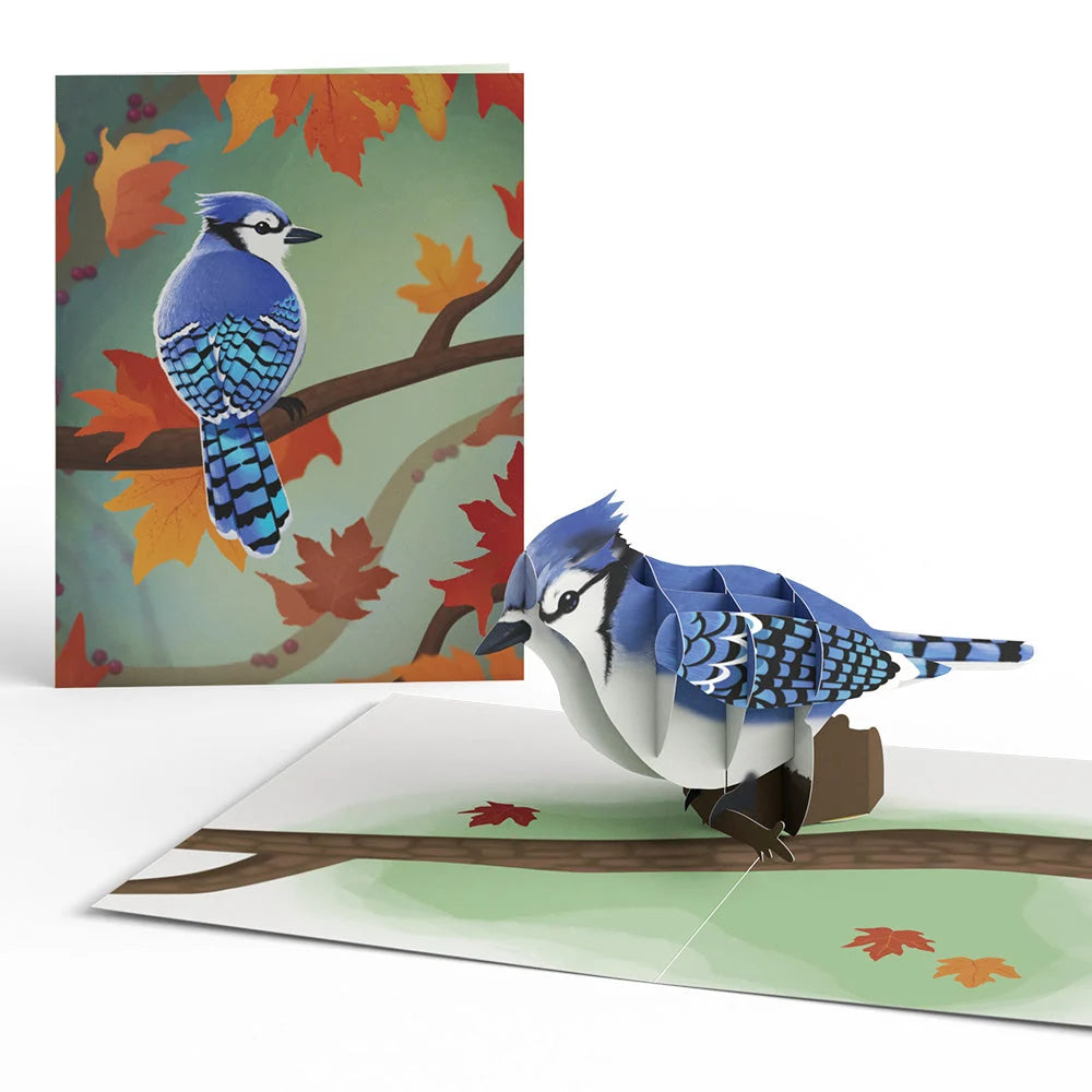 Lovepop Fall Bird Box Set (Assorted 12-pack): Paperpop Card