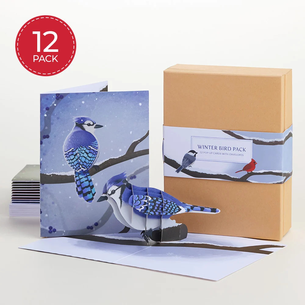 Lovepop Seasonal Birds Box Set Bundle (Assorted 36-Pack): Paperpop Card