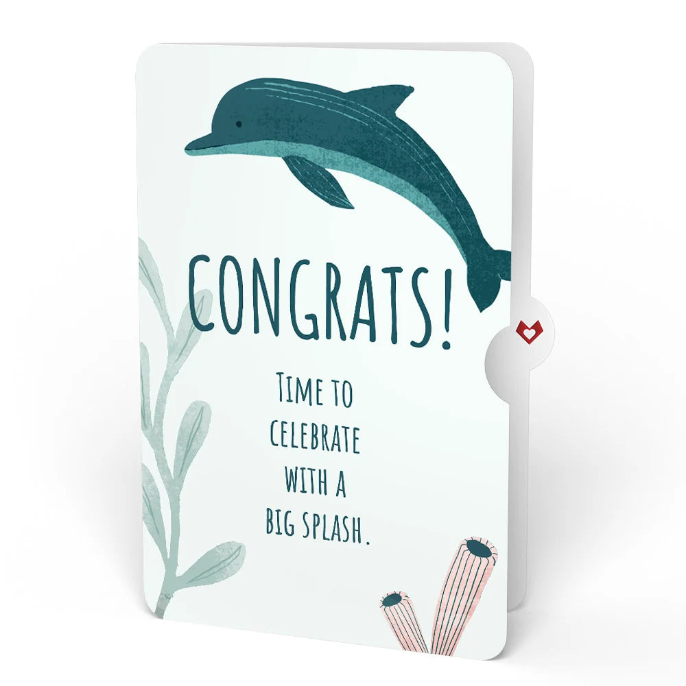 Lovepop Playful Dolphins Congratulations Pop-Up Card and Sentiment Set