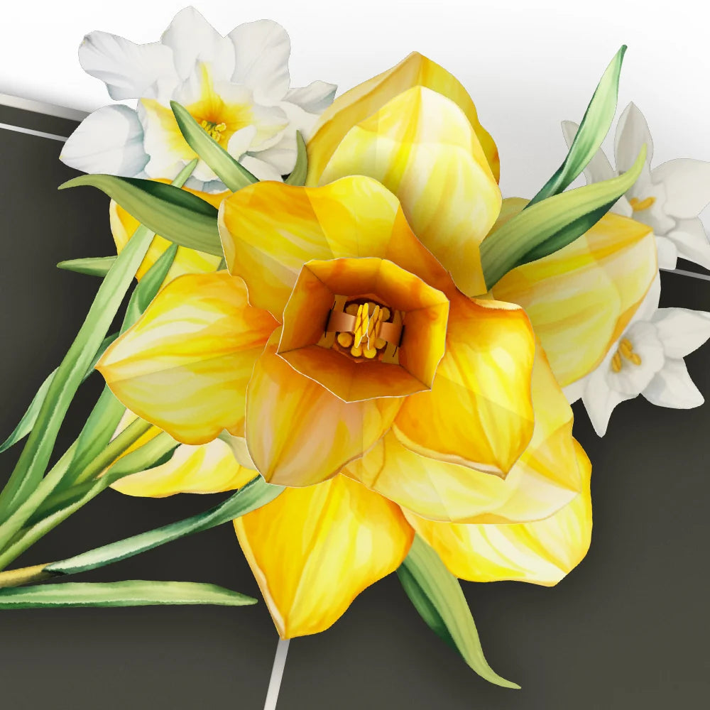 Lovepop Born to Bloom: A Year of Birth Month Flowers 12-Pack
