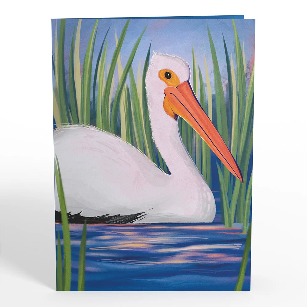 Lovepop Pelican in the Marsh Pop-Up Card