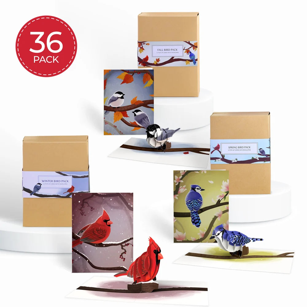Lovepop Seasonal Birds Box Set Bundle (Assorted 36-Pack): Paperpop Card