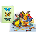 Lovepop Butterflies in Flight Pop-Up Card