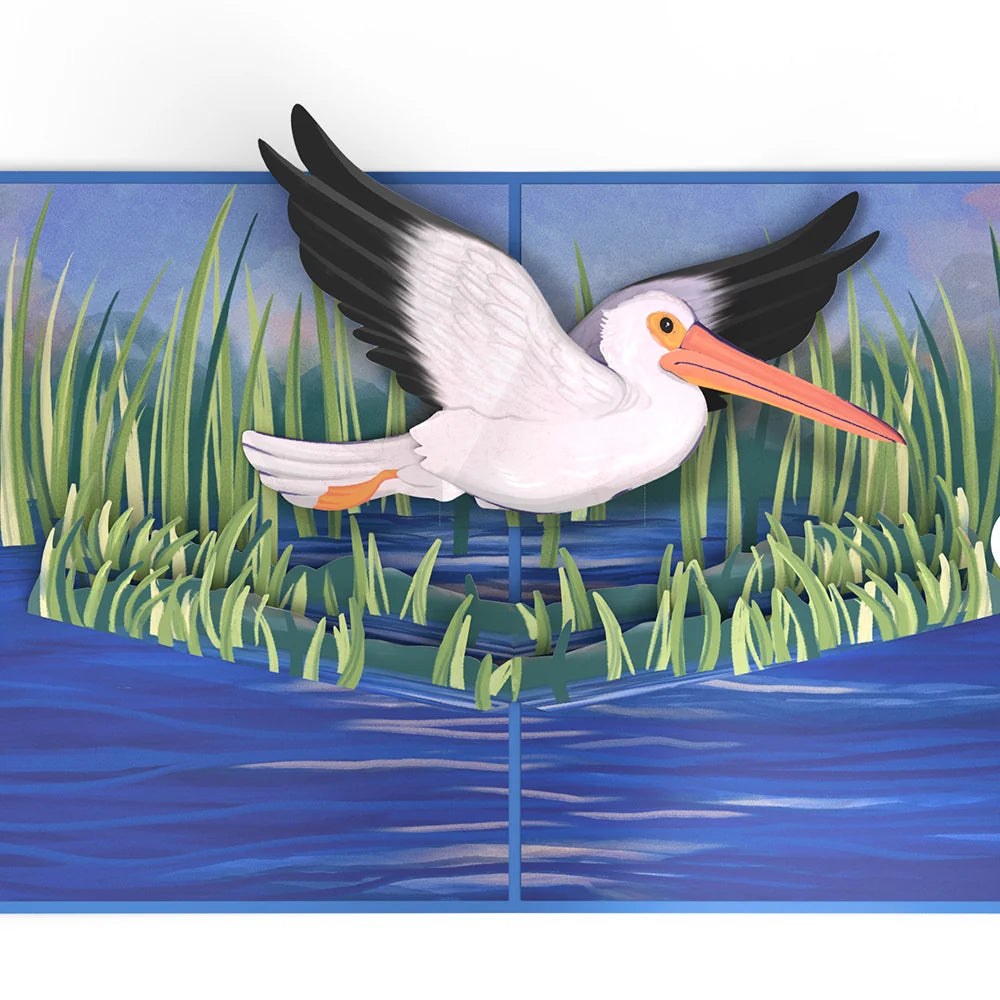 Lovepop Pelican in the Marsh Pop-Up Card